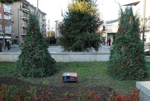 Gli alberi di natale