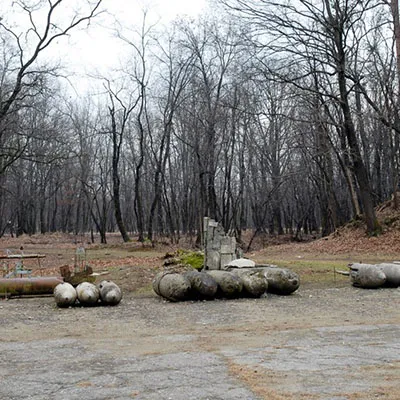 Gita EX dog. austrungarica