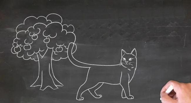 Cagliostro, le avventure di un gatto tutto nero...